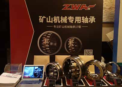 Win Glory for Chinese Bearings, Let the ZWA People More Proud
