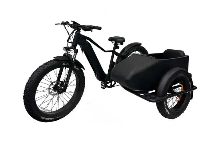 Electric Bike With Sidecar