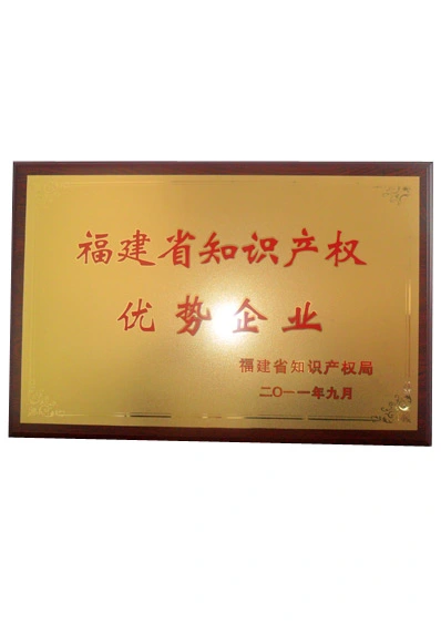 intellectual property advantage enterprises in fujian province