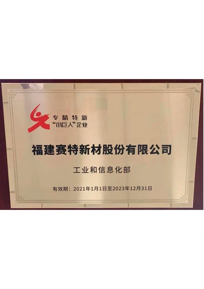 the second batch of specialized refined and innovative small giant enterprises in china november 2021